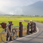 來去池上走走 換宿體驗分享