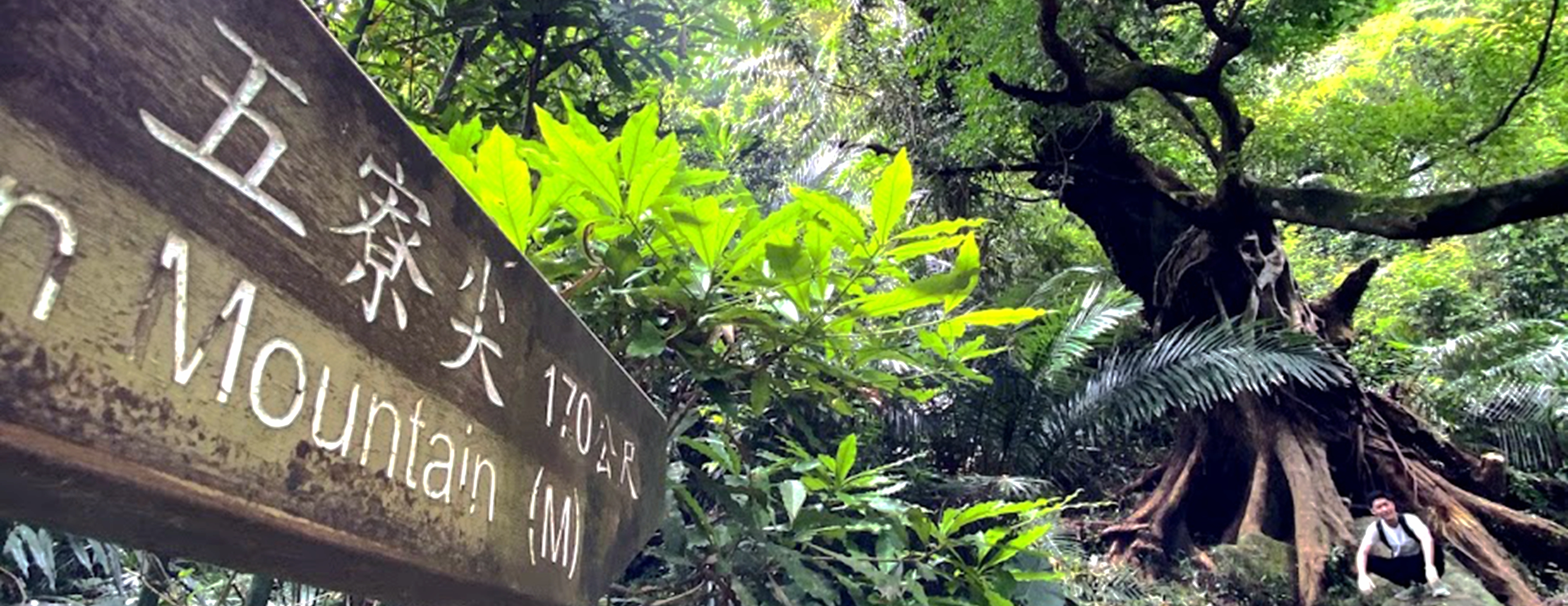 挑戰峭壁雄峰－五寮尖山｜新北三峽