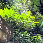 挑戰峭壁雄峰－五寮尖山｜新北三峽
